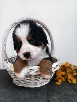 processed/b17120f9-3ad4-46f7-90b4-a4c35cf14795/facility/98941c25-16c1-4464-a276-baccc31b3c06