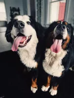 processed/b17120f9-3ad4-46f7-90b4-a4c35cf14795/facility/a030ade5-9cbc-4dd3-8b65-cd2a7d4bdc7f