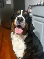 processed/b17120f9-3ad4-46f7-90b4-a4c35cf14795/facility/cb0d1377-d9bd-479b-8090-1d8382efeeca