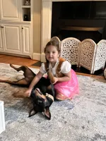 Stella, a female Doberman Pinscher for sale in Winston-Salem, NC – 5 of 8