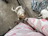 processed/b17ab87f-5ba4-4667-8ade-eaaf66d1ac9a/listing/12e5fe8b-33b6-404a-a382-c31bfe3acf18/0516fc59-6425-44d2-8c19-80e4854b00df