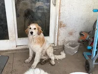 processed/b17ab87f-5ba4-4667-8ade-eaaf66d1ac9a/listing/12e5fe8b-33b6-404a-a382-c31bfe3acf18/0eb88616-8335-4ad1-8370-005629ad79f0