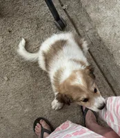 processed/b17ab87f-5ba4-4667-8ade-eaaf66d1ac9a/listing/12e5fe8b-33b6-404a-a382-c31bfe3acf18/6e27e999-8583-4bc0-b1ff-da06a313bb91