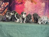 processed/b17b529e-dc28-4e16-a6da-d3b9de30ad18/facility/282888bc-1537-4ade-840b-127b4bb669ab