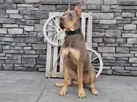 processed/b17b529e-dc28-4e16-a6da-d3b9de30ad18/facility/35b40055-217e-4e7c-85b1-0dea551eff5f