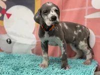 processed/b17b529e-dc28-4e16-a6da-d3b9de30ad18/facility/483a8888-1400-4573-b812-ab2e675b976d