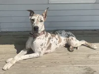 processed/b17b529e-dc28-4e16-a6da-d3b9de30ad18/facility/4ec81b9a-c4df-4f2a-a740-424bf207764f