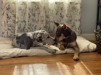 processed/b17b529e-dc28-4e16-a6da-d3b9de30ad18/facility/5a6b3c5c-9a99-42cf-8868-a59640b48af0