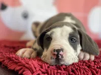 processed/b17b529e-dc28-4e16-a6da-d3b9de30ad18/facility/9f2e1dc9-4fa2-4465-8611-e56622f44c25