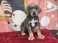 processed/b17b529e-dc28-4e16-a6da-d3b9de30ad18/facility/f845de8e-6024-4bca-a171-0e1a2c3c205f