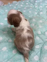 processed/b187c4c9-b0d0-4c18-ab51-7affac04879f/listing/59f6f475-5a64-4faa-8b3b-28913a7c7282/31ce1a9b-a920-45bf-8183-ad1c099354e2