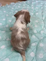 processed/b187c4c9-b0d0-4c18-ab51-7affac04879f/listing/59f6f475-5a64-4faa-8b3b-28913a7c7282/335a3d4b-68ec-4618-8907-b12776033637