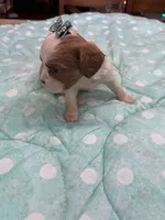 processed/b187c4c9-b0d0-4c18-ab51-7affac04879f/listing/59f6f475-5a64-4faa-8b3b-28913a7c7282/53466bd8-c97a-4750-8478-24576e7762b0