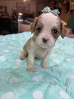 processed/b187c4c9-b0d0-4c18-ab51-7affac04879f/listing/59f6f475-5a64-4faa-8b3b-28913a7c7282/85a7ea6b-5c07-4753-844e-b1950d1528e9