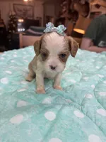 processed/b187c4c9-b0d0-4c18-ab51-7affac04879f/listing/59f6f475-5a64-4faa-8b3b-28913a7c7282/aa802c63-42fc-492e-a779-9e338768a342