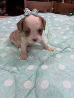 processed/b187c4c9-b0d0-4c18-ab51-7affac04879f/listing/59f6f475-5a64-4faa-8b3b-28913a7c7282/be2dcd65-8fba-4aee-851b-482c07919dbe