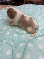 processed/b187c4c9-b0d0-4c18-ab51-7affac04879f/listing/5e779fae-5f24-4d82-b696-6f9dacdae623/2134fb52-b2e9-47b6-a0af-fb002dd0d7ad