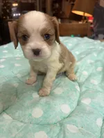 processed/b187c4c9-b0d0-4c18-ab51-7affac04879f/listing/5e779fae-5f24-4d82-b696-6f9dacdae623/4fd461c9-82ca-4c59-8afa-978aa7263941