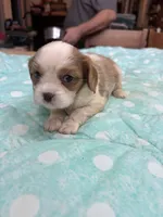 processed/b187c4c9-b0d0-4c18-ab51-7affac04879f/listing/5e779fae-5f24-4d82-b696-6f9dacdae623/d8cb0aa2-567f-4f5d-8599-ea3d172667db