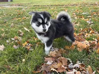 processed/b19007ce-8d34-43ff-943c-80d4823ee9a5/listing/22180a68-cbb7-4aec-a0b6-1924e352591b/6e998aa4-421b-4b8d-93cb-772a70d57153