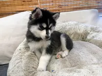 processed/b19007ce-8d34-43ff-943c-80d4823ee9a5/listing/22180a68-cbb7-4aec-a0b6-1924e352591b/7c3346f8-8a10-478e-8b99-fa8f87c83624