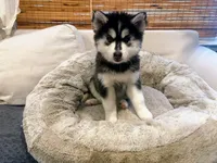 processed/b19007ce-8d34-43ff-943c-80d4823ee9a5/listing/22180a68-cbb7-4aec-a0b6-1924e352591b/8815da53-0ad6-4e5b-ba18-e55e3991b4f8