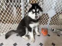 processed/b19007ce-8d34-43ff-943c-80d4823ee9a5/listing/22180a68-cbb7-4aec-a0b6-1924e352591b/becd7456-7280-47e4-abb1-5e64a9aab88f