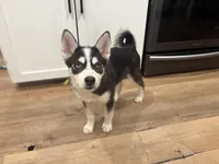 processed/b19007ce-8d34-43ff-943c-80d4823ee9a5/listing/ca0b05a2-ebdf-403f-b3d7-5db1b4407646/0a88b3ea-2395-431d-8723-69bee351e144