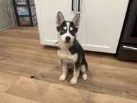 processed/b19007ce-8d34-43ff-943c-80d4823ee9a5/listing/ca0b05a2-ebdf-403f-b3d7-5db1b4407646/0f3ad6c1-e063-4f09-82e4-49ac69b19756