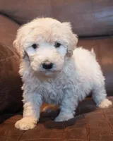 processed/b1a1de9c-a65d-42d9-b57f-714860c63556/listing/265d8b60-5ce9-4666-8c0c-6f239524288a/04e27a18-17ed-4a21-9d04-da9f79e92a05