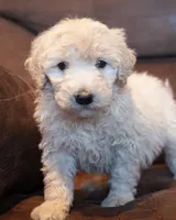 processed/b1a1de9c-a65d-42d9-b57f-714860c63556/listing/265d8b60-5ce9-4666-8c0c-6f239524288a/733b23fc-f959-448c-a613-31b77cac10ca