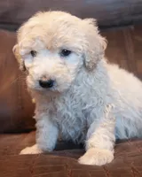 processed/b1a1de9c-a65d-42d9-b57f-714860c63556/listing/265d8b60-5ce9-4666-8c0c-6f239524288a/d75eb7fe-ce25-49e2-86ea-228166c67930