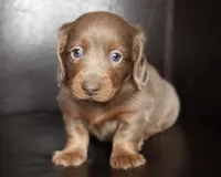 processed/b1a1de9c-a65d-42d9-b57f-714860c63556/listing/3182a5b3-4f0e-4ff8-b83d-c6b6a20983ea/99481e82-2264-4338-b0c9-07398f73544b