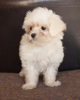 processed/b1a1de9c-a65d-42d9-b57f-714860c63556/listing/77b710e8-ce65-498b-98d1-c137dc6e0aee/3cf1c40e-30f4-42b4-9e6d-4f6ec320488d