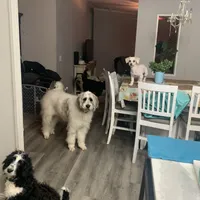 processed/b1b842a5-6cfa-46c9-82f6-0399c801cdad/facility/3905bfbe-efb0-435d-beec-acafdbd960b2