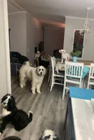 processed/b1b842a5-6cfa-46c9-82f6-0399c801cdad/facility/3905bfbe-efb0-435d-beec-acafdbd960b2