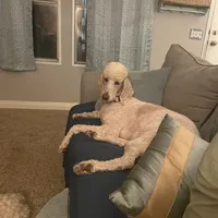 processed/b1b842a5-6cfa-46c9-82f6-0399c801cdad/facility/3b8653da-8174-4e4f-9f3b-50db404b479a