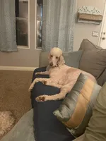 processed/b1b842a5-6cfa-46c9-82f6-0399c801cdad/facility/3b8653da-8174-4e4f-9f3b-50db404b479a