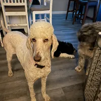 processed/b1b842a5-6cfa-46c9-82f6-0399c801cdad/facility/6b02ecd6-7136-4c41-a98d-b86e5d8e687b