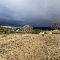 processed/b1b842a5-6cfa-46c9-82f6-0399c801cdad/facility/745df184-0928-45d7-8d2f-ec2164b9ef19