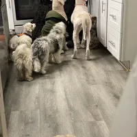 processed/b1b842a5-6cfa-46c9-82f6-0399c801cdad/facility/8585611a-7164-4b5f-95cd-01a46426d13b