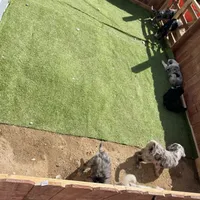 processed/b1b842a5-6cfa-46c9-82f6-0399c801cdad/facility/9a1169c1-a266-47d0-8c20-911125c4865d