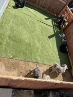 processed/b1b842a5-6cfa-46c9-82f6-0399c801cdad/facility/9a1169c1-a266-47d0-8c20-911125c4865d