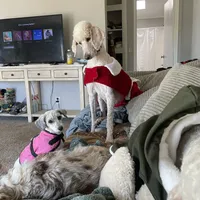 processed/b1b842a5-6cfa-46c9-82f6-0399c801cdad/facility/b0341537-876b-4a28-b5d1-6e55728d5974