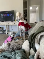 processed/b1b842a5-6cfa-46c9-82f6-0399c801cdad/facility/b0341537-876b-4a28-b5d1-6e55728d5974