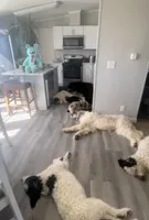 processed/b1b842a5-6cfa-46c9-82f6-0399c801cdad/facility/d9d2980c-d2b5-46fa-bbd8-72dd63427f60