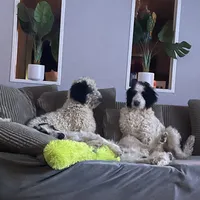 processed/b1b842a5-6cfa-46c9-82f6-0399c801cdad/facility/effb4d1f-3bbf-4854-ad3d-ebb0a02a88cb