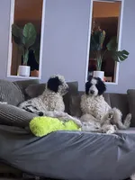 processed/b1b842a5-6cfa-46c9-82f6-0399c801cdad/facility/effb4d1f-3bbf-4854-ad3d-ebb0a02a88cb