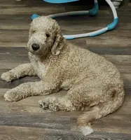 processed/b1b842a5-6cfa-46c9-82f6-0399c801cdad/listing/a7d1e818-321d-4659-8d1a-974beb37cd25/4e44ae62-15b8-439e-b76b-6472e2e6c6e9