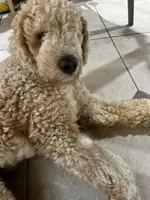 processed/b1b842a5-6cfa-46c9-82f6-0399c801cdad/listing/a7d1e818-321d-4659-8d1a-974beb37cd25/bcdf49ae-509e-4758-b98e-d4e775ed5339